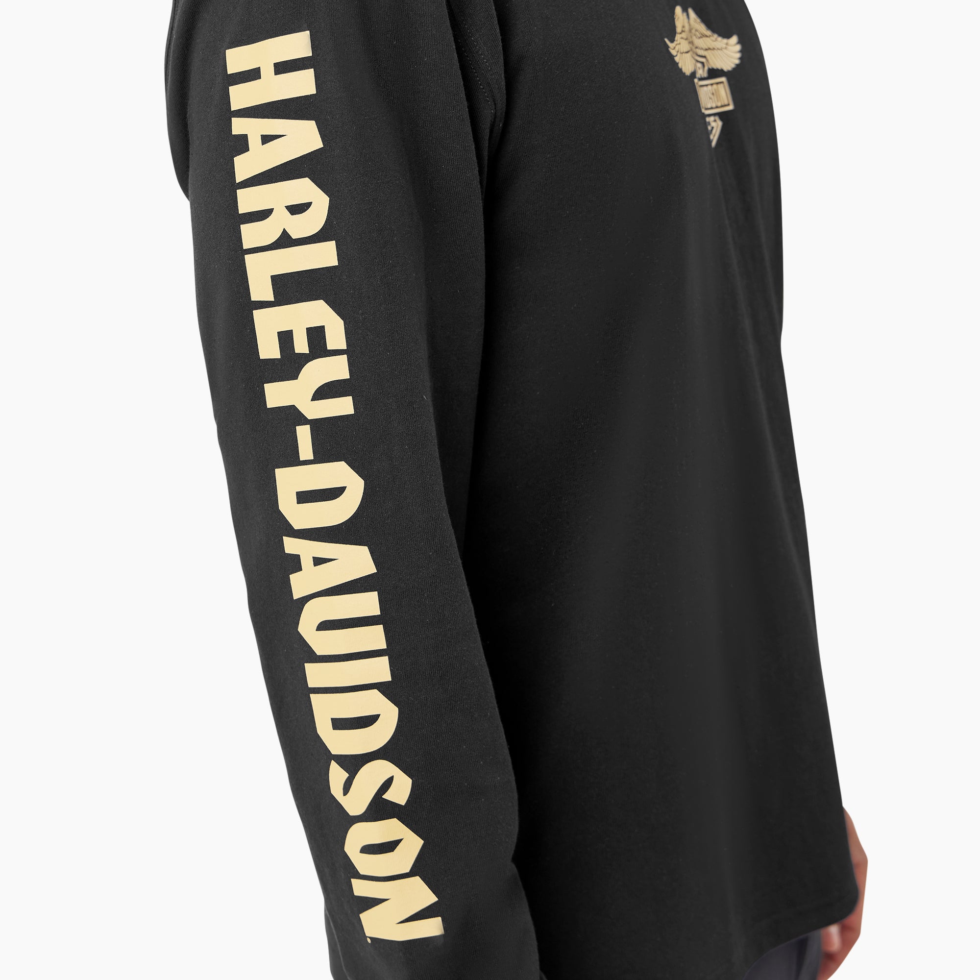 Dickies x Harley-Davidson Heavyweight Long Sleeve Eagle Tee - Image 7